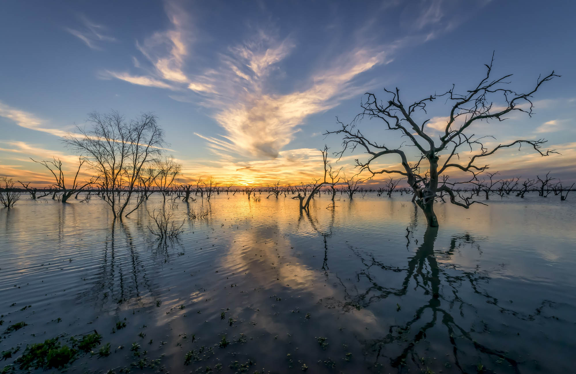 Kinchega National Park