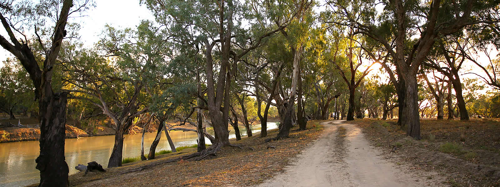 Walgett to Brewarrina