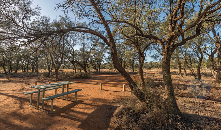 Belah Campground, Mungo National Park