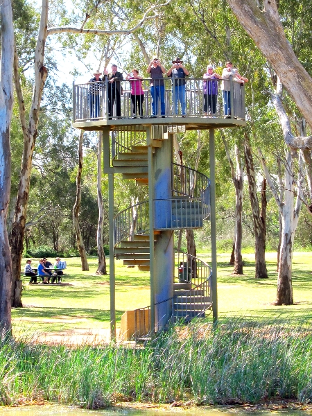 Climb the viewing tower where two great Australian rivers meet, the Confluence of the Murray Darling rivers