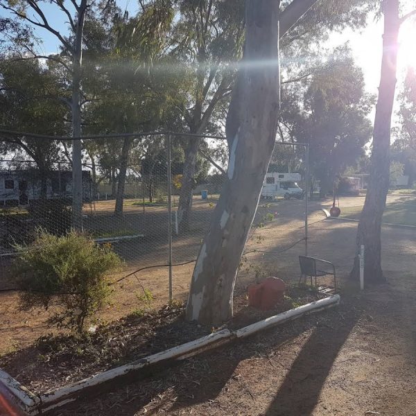 Brewarrina Caravan and Camping Park