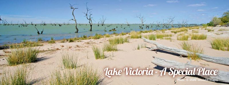 Lake Victoria – A special place