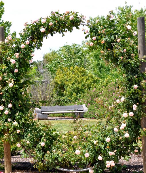 Australian Inland Botanic Gardens