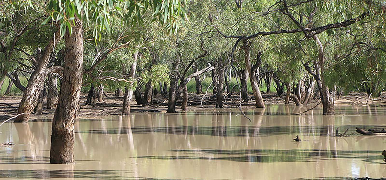 Culgoa National Park