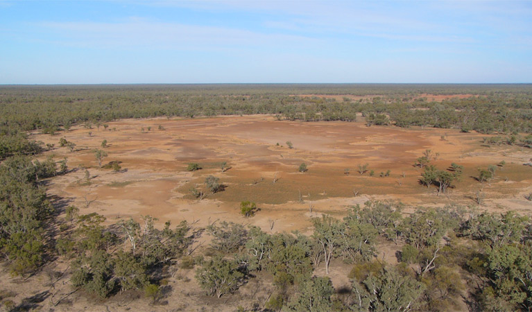 Culgoa River Campground, Culgoa National Park