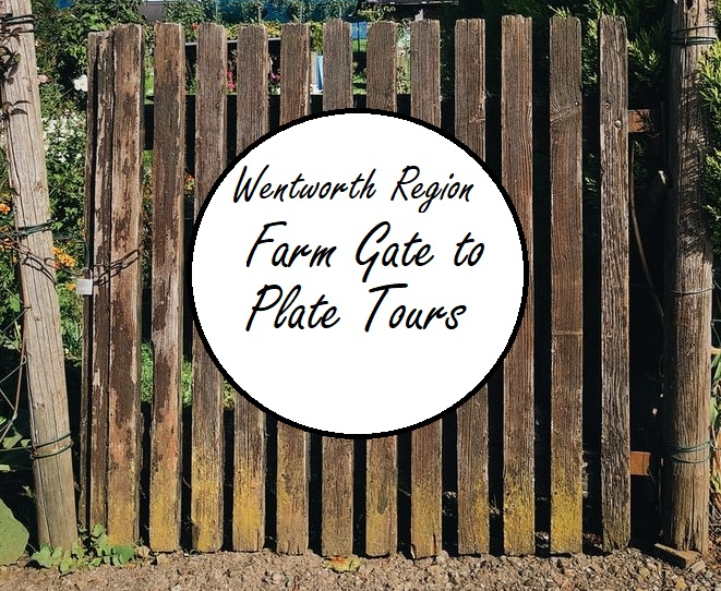 Farm Gate to Plate Tours in the Wentworth Region