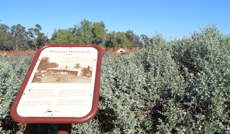 Old Kinchega Homestead