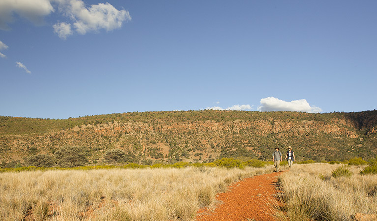 Little Mountain walking track