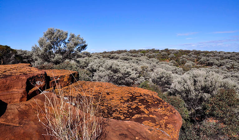 Mount Grenfell Historic Site