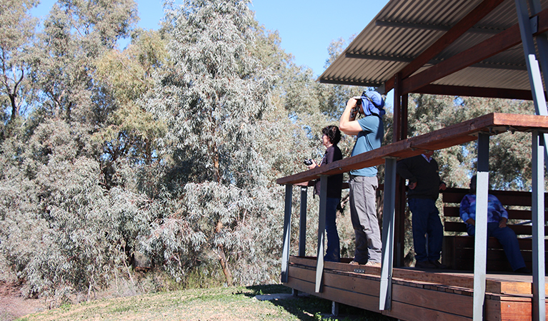 Warrego Floodplain Walking Track
