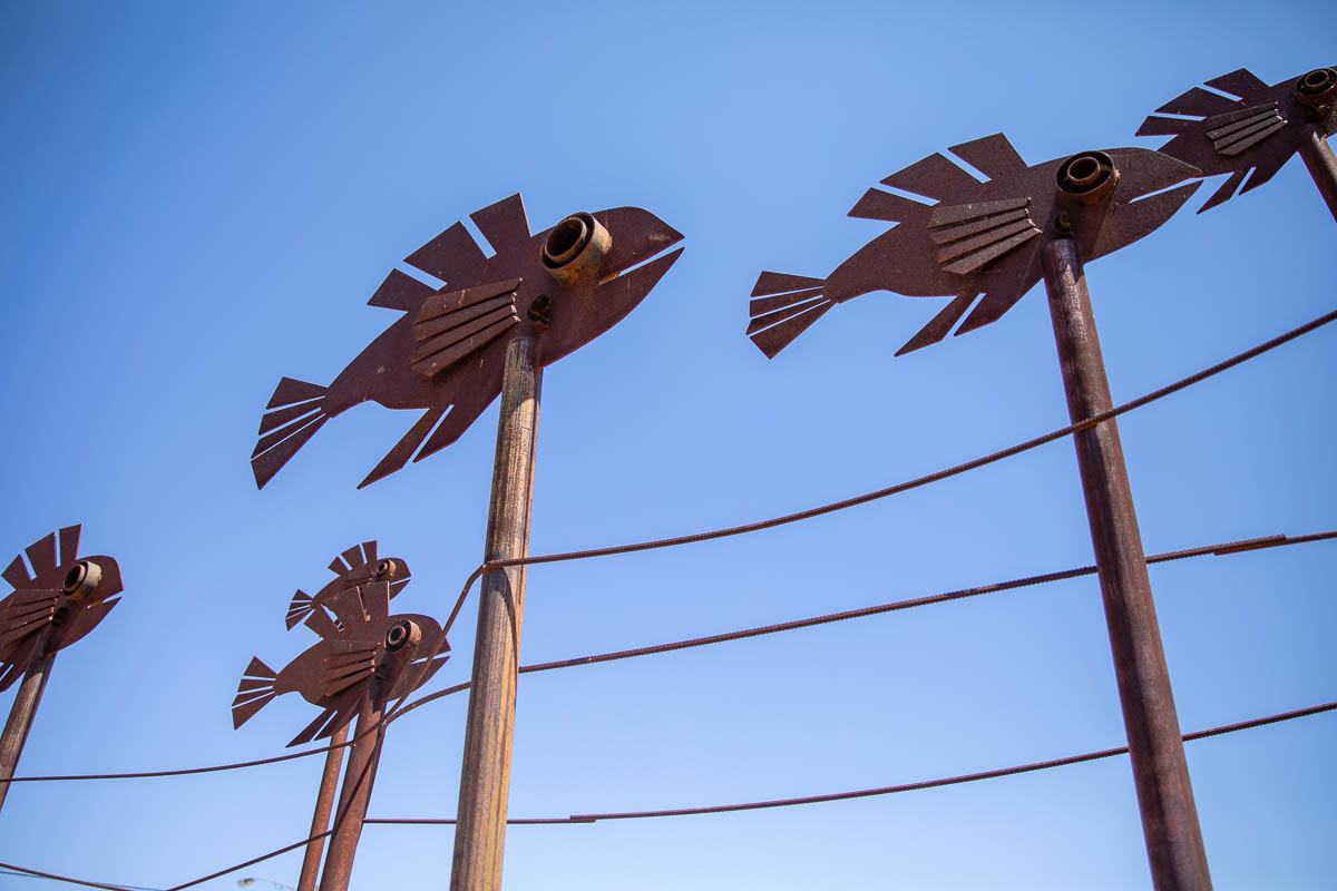 Brewarrina Visitor Information and Exhibition Centre