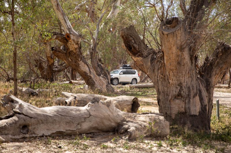 Coach and Horses Campground, Paroo Darling National Park