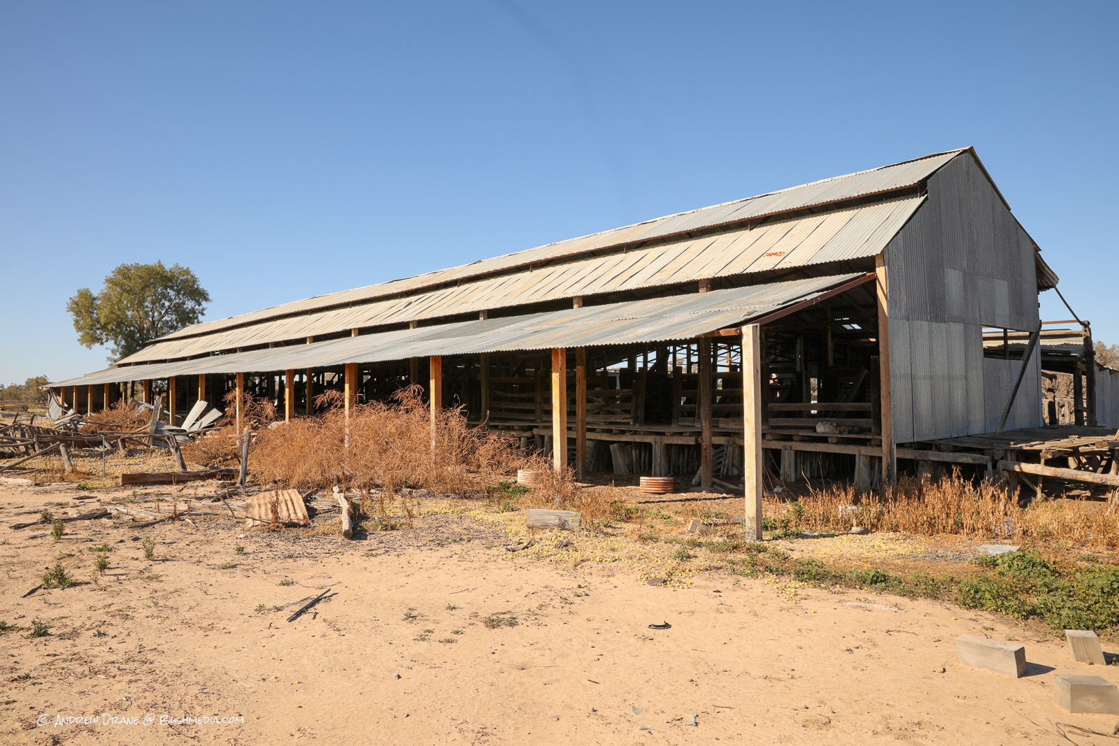 The Boss’s Boots | Henry Lawson